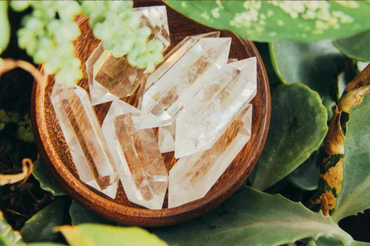 A wooden bowl filled with clear quartz crystals, nestled among green leaves and plants.